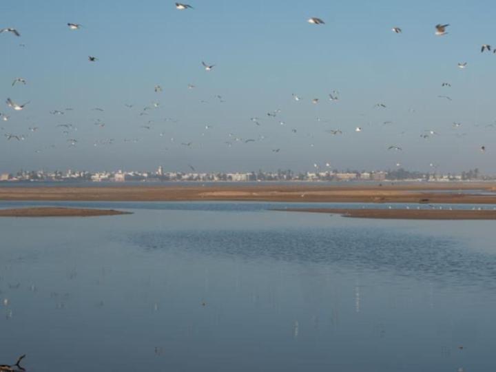 Tigmi Anis Bed & Breakfast Essaouira Eksteriør bilde